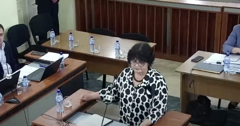 ენათმეცნიერი: თუ აგენტს არ დაამატე დაზღვევის აგენტი, ის აგენტი იქნება ყოველთვის