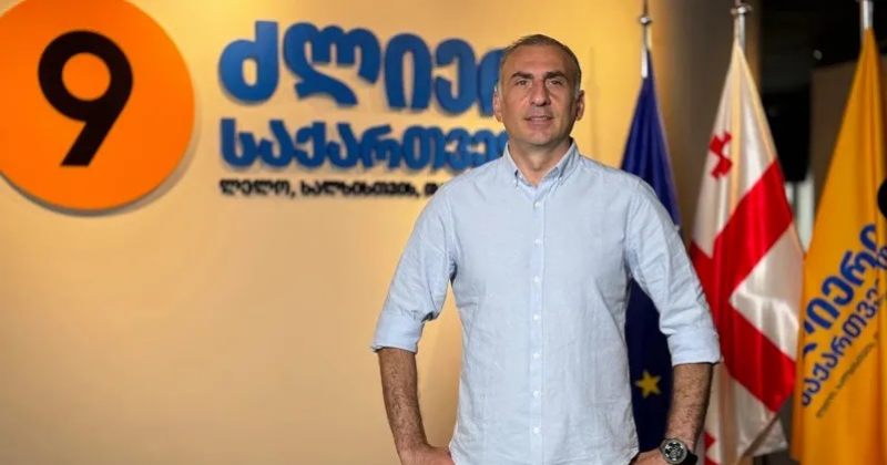 ელისაშვილი იმპიჩმენტზე: გაიღვიძეს და რაღაც ღობე-ყორეს ედებიან 