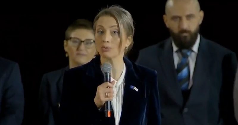 მალაშხია: კოალიციური მმართველობა, ქართულ ქარტიაზე დაფუძნებული ცვლილებებით, შეგვიყვანს EU-ში
