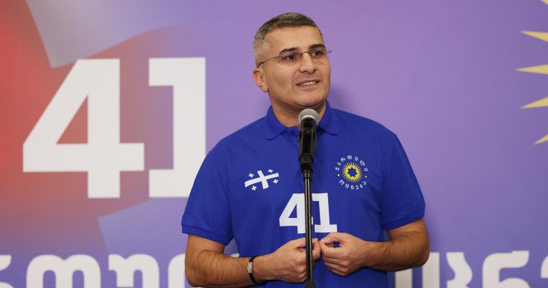 მდინარაძე: ენმ-ს მემკვიდრე პარტიების არაკონსტიტუციურად აღიარების კანონპროექტი წარვადგინეთ