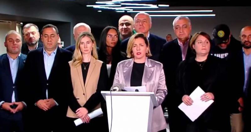 დოლიძე: ორშაბათს, რუსთაველზე მოგახსენებთ ჩვენს სამოქმედო გეგმას დეტალურად