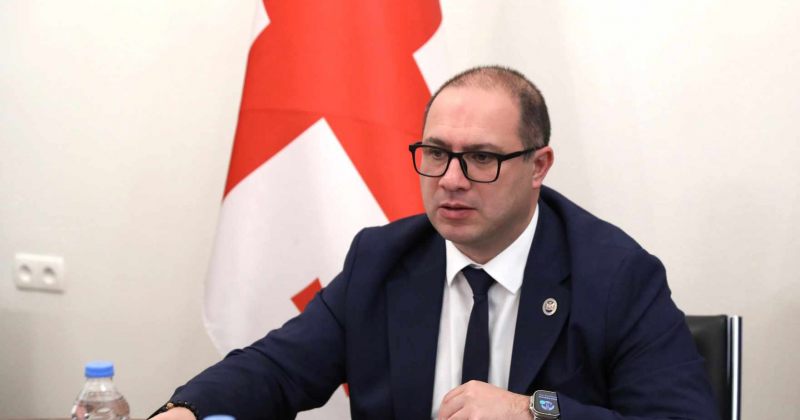 ყველა სკოლაში 1, განათლების სამინისტროს დაწერილი წიგნით ისწავლიან - მიქანაძე