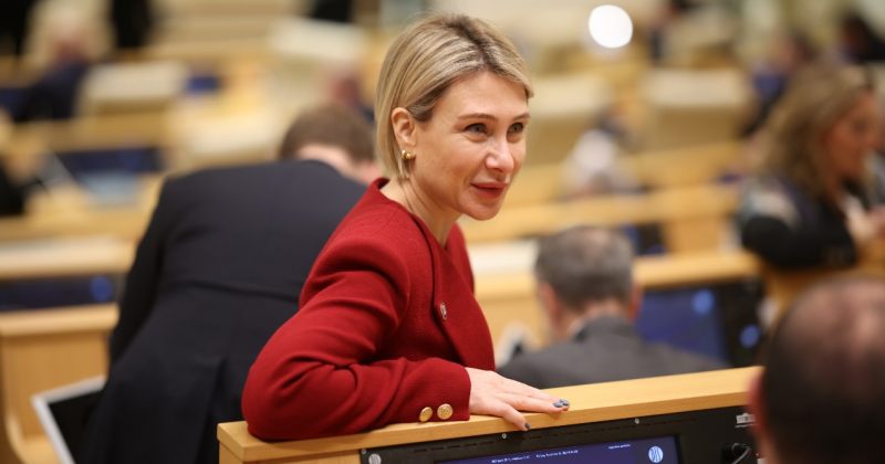 წილოსანი: დიპლომატი ქვეყანაში რომ მუშაობს, მინიმუმ მეგობრულ განწყობას უნდა ამჟღავნებდეს