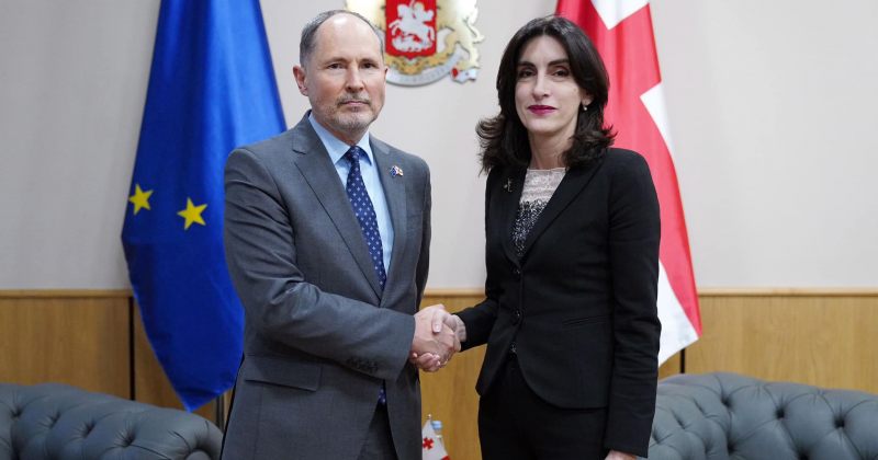 საგარეო: მაკა ბოჭორიშვილი პაველ ჰერჩინსკის შეხვდა