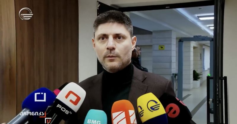 ადამია: დაგვარწმუნა პრემიერმა, რომ EU-ს გზა შეუცვლელია და ყველაფერი იქნება ძალიან კარგად