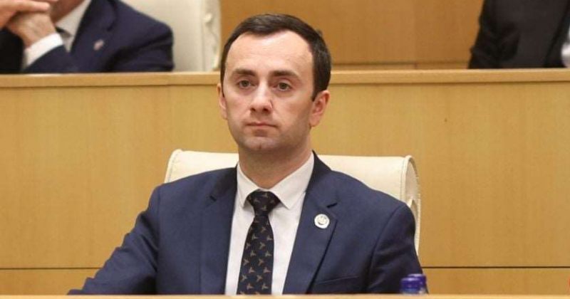 "შეშფოთებული ვართ ევროპარლამენტის ქმედებებით" - მახაშვილის ღია წერილი ევრონესტის ასამბლეას