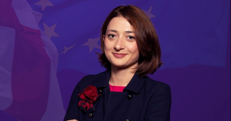 ბუჩუკური რეზოლუციაზე: დადასტურდა, რომ ივანიშვილის ე.წ. ხელისუფლება არალეგიტიმურია
