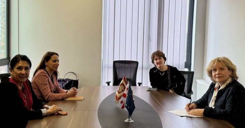 ზურაბიშვილი: რასა იუკნევიჩიენეს წარვუდგინე ახალი არჩევნების გეგმა