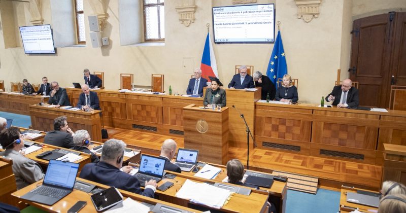 ჩვენთვის ბრძოლას არ ვითხოვთ, გვერდში დგომას გთხოვთ - ზურაბიშვილი ჩეხეთის სენატში