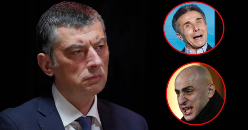 შემოვიდა ივანიშვილი, დაიწყო მართვა და ბოლომდე წაიღო პროცესი - გახარია მელიას დაკავებაზე