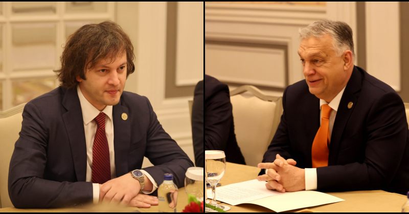 კობახიძე უნგრეთის პრემიერმინისტრ ვიქტორ ორბანს შეხვდა