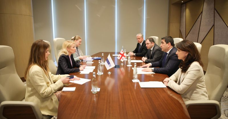 ეუთოს საპარლამენტო ასამბლეის პრეზიდენტი პაპუაშვილსა და სამხარაძეს შეხვდა 