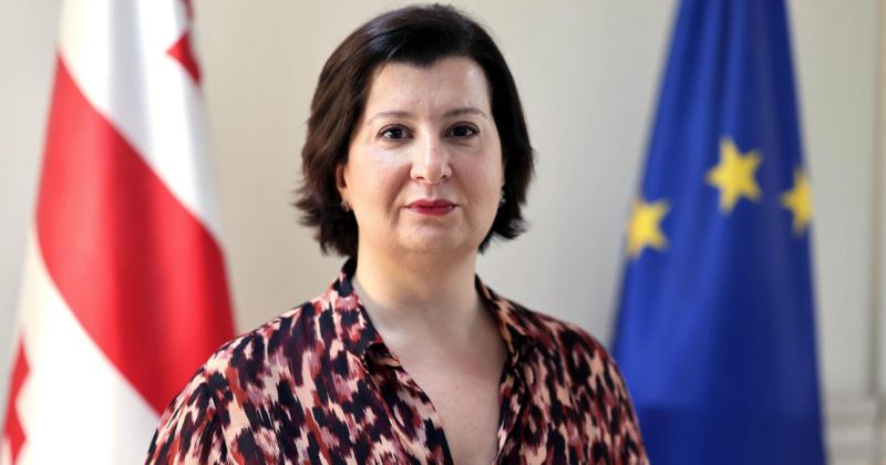 ვინ არის სახელმწიფო გრანტების მართვის სააგენტოს თავმჯდომარე თამარ ზოდელავა