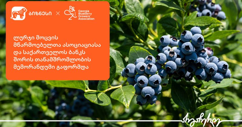 ლურჯი მოცვის მწარმოებელთა ასოციაციასა და BOG-ს შორის მემორანდუმი გაფორმდა (რ)