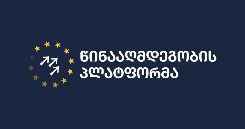 პლატფორმა: ძალა, რომელიც პროვოკაციებს აწყობს მოქალაქეების წინააღმდეგ ივანიშვილის რეჟიმია