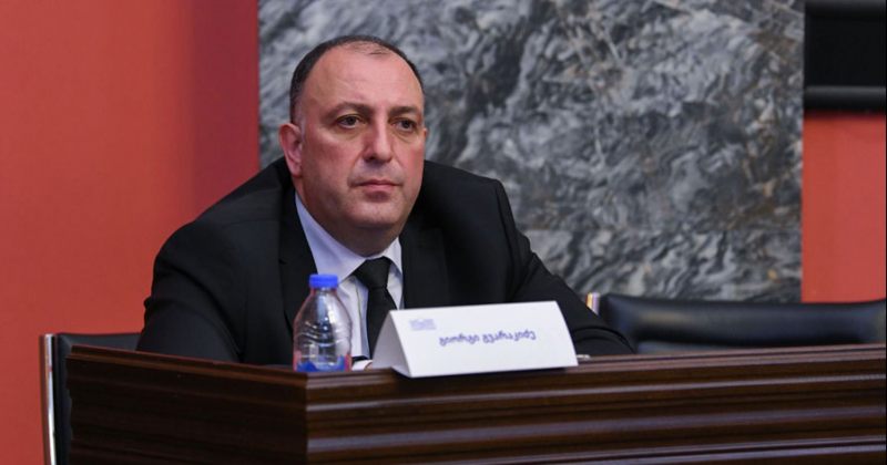გვარაკიძე: არასაპატიმრო აღკვეთის ღონისძიებების გამოყენების გაზრდაზე უნდა ვიფიქროთ