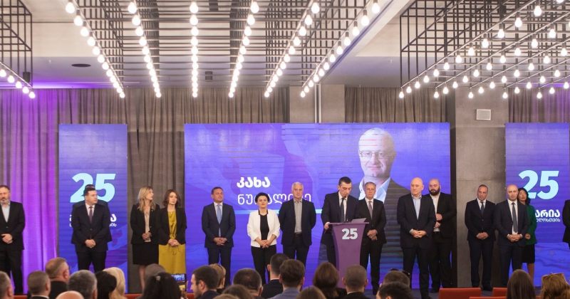 კომიტეტმა გახარია-საქართველოსთვის წევრებისთვის მანდატების შეწყვეტას მხარი დაუჭირა