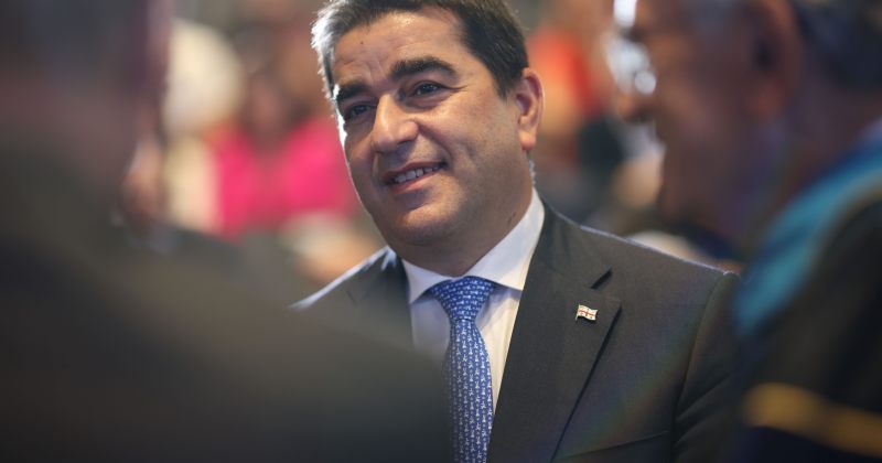 ლიტვის, ლატვიის და ესტონეთის პარლამენტები მეგობრობის ჯგუფში არ შემოვიდნენ – პაპუაშვილი