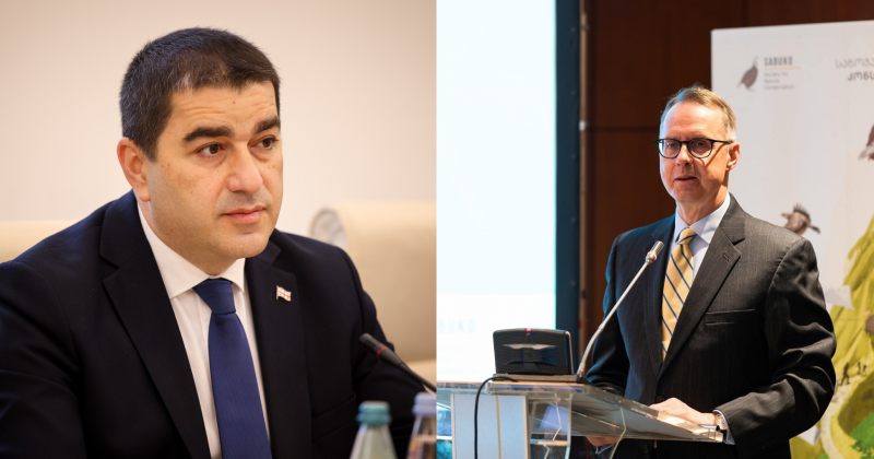 პაპუაშვილი: მე მგონი, ფიშერმა ელჩობაზე უარი თქვა და რადიკალური ოპოზიციის მხარდამჭერად იქცა
