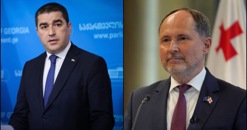 ელჩის მხრიდან "ხალხზე" საუბარი პოლიტიკური ცინიზმის მაგალითია - პაპუაშვილი ჰერჩინსკიზე