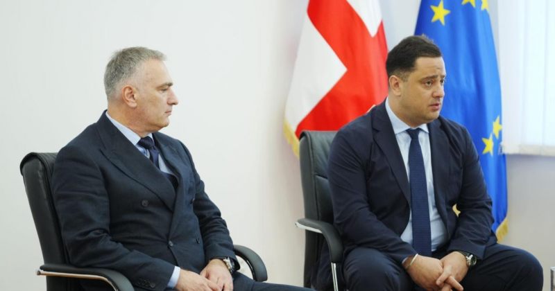პრობაციის სააგენტოს უფროსად ნიკა ცხვარაშვილი დაინიშნა