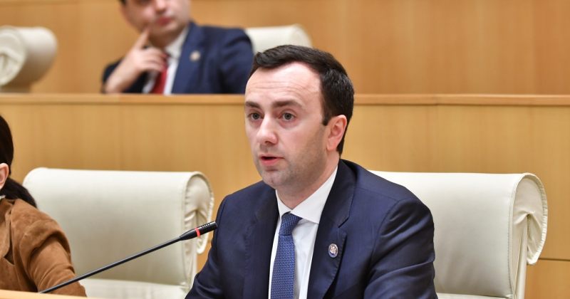 მახაშვილი: მნიშვნელოვანი ზარი იყო, მაგრამ უფრო დროულად ველით აშშ-სთან გადატვირთვას