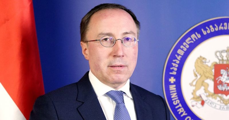 ბოჭორიშვილის პირველ მოადგილედ გიორგი ზურაბაშვილი დაინიშნა