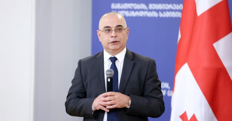 ივანიშვილის განათლების მინისტრის პირველ მოადგილედ ლევან ღირსიაშვილი დაინიშნა