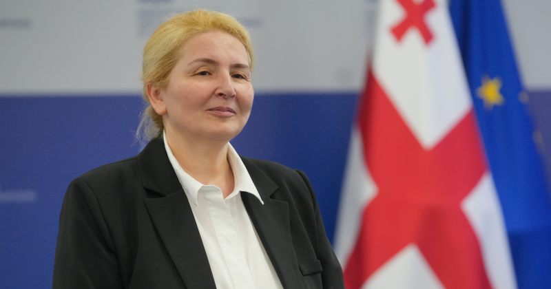 ივანიშვილის ეკონომიკის მინისტრის მოადგილედ ინგა ფხალაძე დაინიშნა
