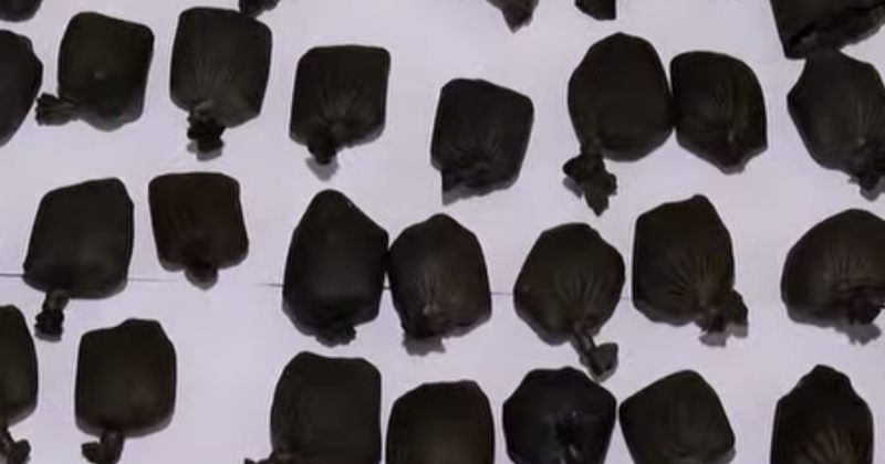 ამოღებულია 336 აბი "სუბოტექსი" – შსს-მ ნარკოდანაშაულისთვის 2 პირი დააკავა