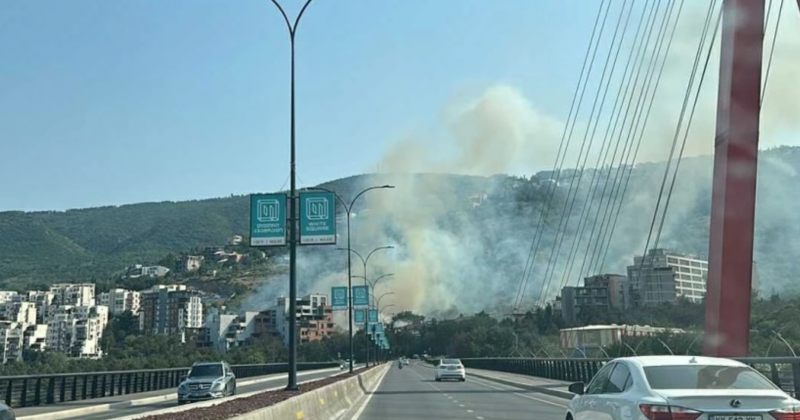 ბაგებში, ტყის მასივში ხანძარი გაჩნდა