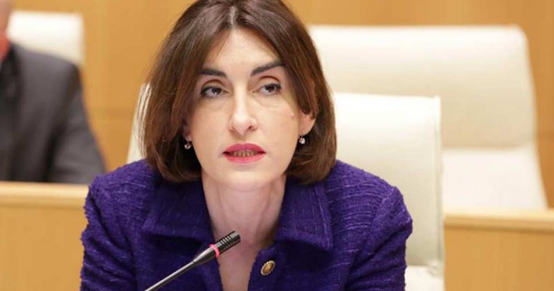 ბოჭორიშვილი: საქართველოს აქვს სურვილი ამერიკასთან ურთიერთობების გაჯანსაღების