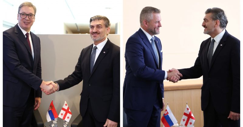 ყაველაშვილი სერბეთის და სლოვაკეთის პრეზიდენტებს შეხვდა