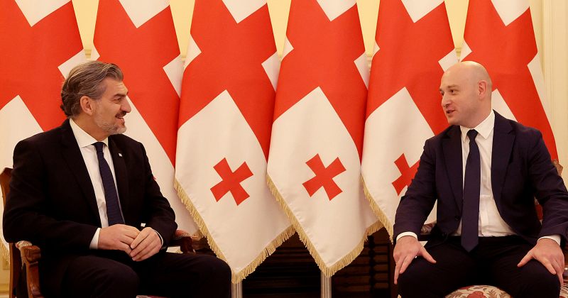 ყაველაშვილმა საკონსტიტუციო სასამართლოს მოსამართლედ გიორგი მოდებაძე დანიშნა