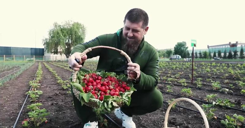 კადიროვს რუსული ფერმერული მოძრაობის განვითარებაში შეტანილი წვლილისთვის მედალი გადაეცა