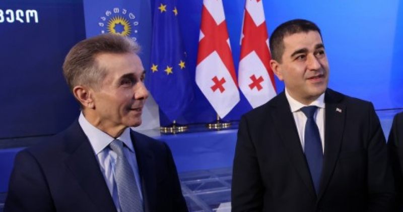 პაპუაშვილი: ბიძინა ივანიშვილის ყველა წამოწყება არის ყინულმჭრელი