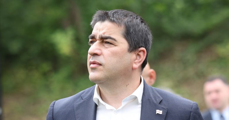 პაპუაშვილი: ჩვენი ემიგრანტების წნეხისგან დასაცავად არის ეს გადაწყვეტილება მიღებული