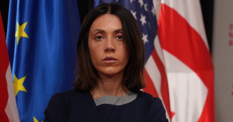 წითლიძე: იციან, რომ ემიგრანტების უმრავლესობა რეჟიმის წინააღმდეგაა, რაც მათთვის პრობლემაა