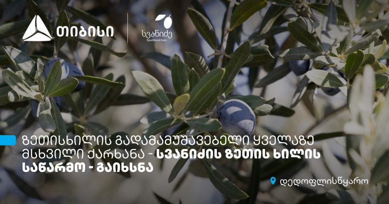 თიბისის მხარდაჭერით, დედოფლისწყაროში "სვანიძის ზეთისხილის" საწარმო გაიხსნა (რ)