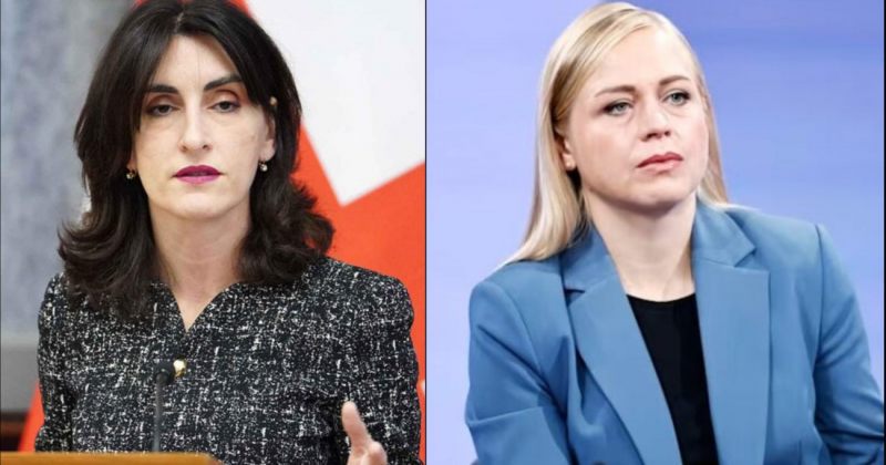 არანაირი ფასი არ ჰქონდა საქართველოსთვის - ბოჭორიშვილი ვალტონენის ვიზიტზე