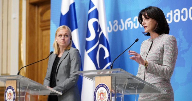 ივანიშვილის საგარეო საქმეთა მინისტრი, მაკა ბოჭორიშვილი ეუთო-ს თავმჯდომარეს შეხვდა 