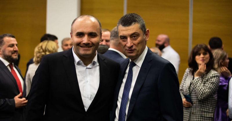 პირადი განცხადების საფუძველზე ვტოვებ საპარლამენტო სიასა და პარტიულ პოლიტიკას – გვიანიძე