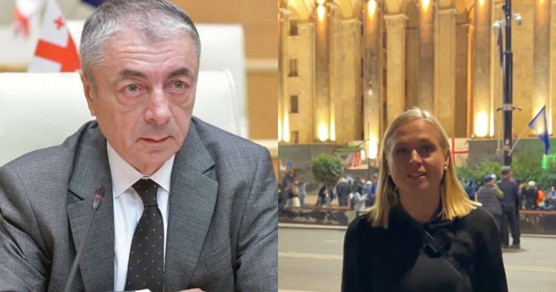 გამოგონილი ნარატივია - შარმანაშვილი კობახიძესთან შეხვედრის ფინური მხარის მიერ გაუქმებაზე