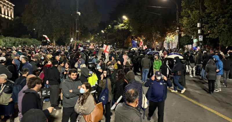 ლელო: დღევანდელმა დაკავებებმა დაადასტურა, რომ არცერთი მოქალაქე აღარ არის უსაფრთხოდ