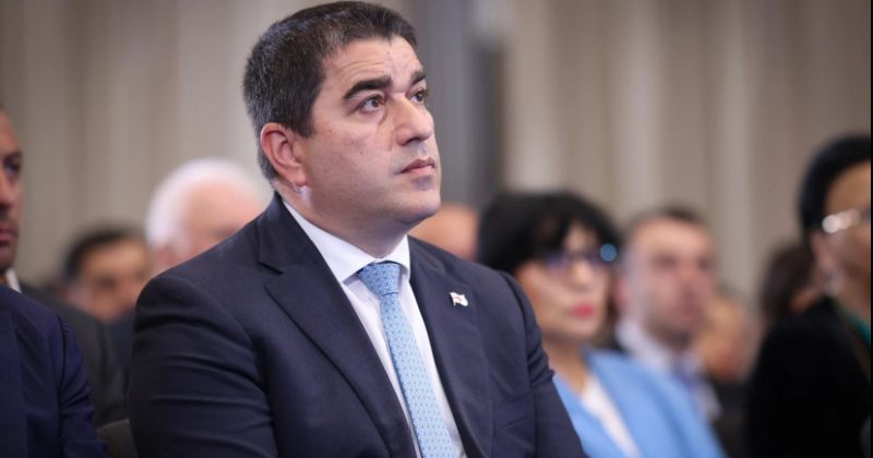 პაპუაშვილი პარტიების აკრძალვაზე: ხიდები დაწვეს, დაეტოვებინათ პარლამენტში შესვლის შანსი