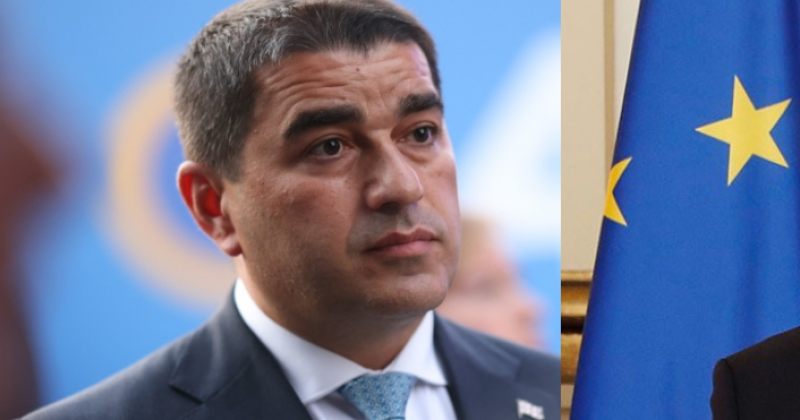 პაპუაშვილი ფიშერზე: მნიშვნელოვანია, ელჩი ასრულებდეს ხიდის როლს და არა კედლის