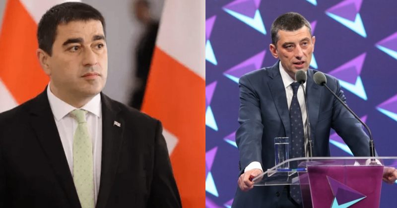 პაპუაშვილი გახარიას პარტიაზე: პარლამენტს არც არაფერი მოემატება და არც არაფერი მოაკლდება