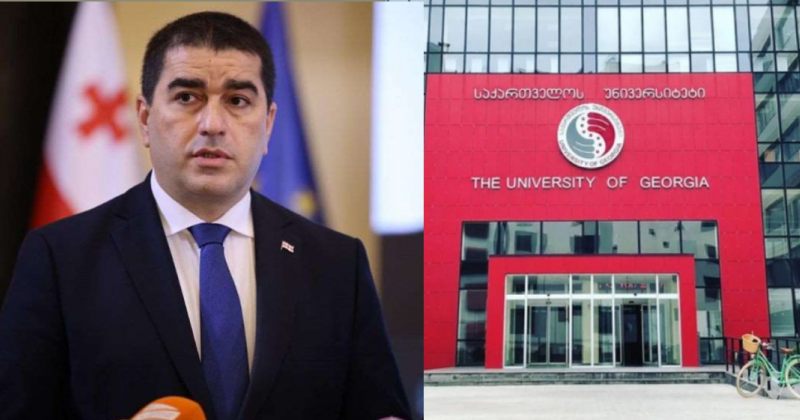 2008-ში დედაზე ქონების გაფორმებით იყო დაკავებული სააკაშვილი - პაპუაშვილი 