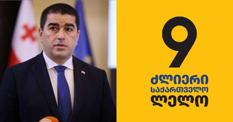 იაფფასიანი, ქსენოფობიური კამპანიაა – პაპუაშვილი EMAAR ჯგუფზე ლელოს განცხადებებზე 