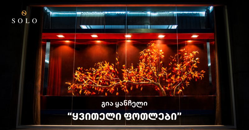 SOLO-მ გია ყანჩელის "ყვითელი ფოთლების" ინსპირაციით, საშემოდგომო ვიტრინები შექმნა (რ)